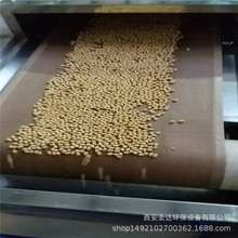 重庆微波杂粮熟化烘焙设备 黄豆炒制机 黑豆熟化去豆腥味设备