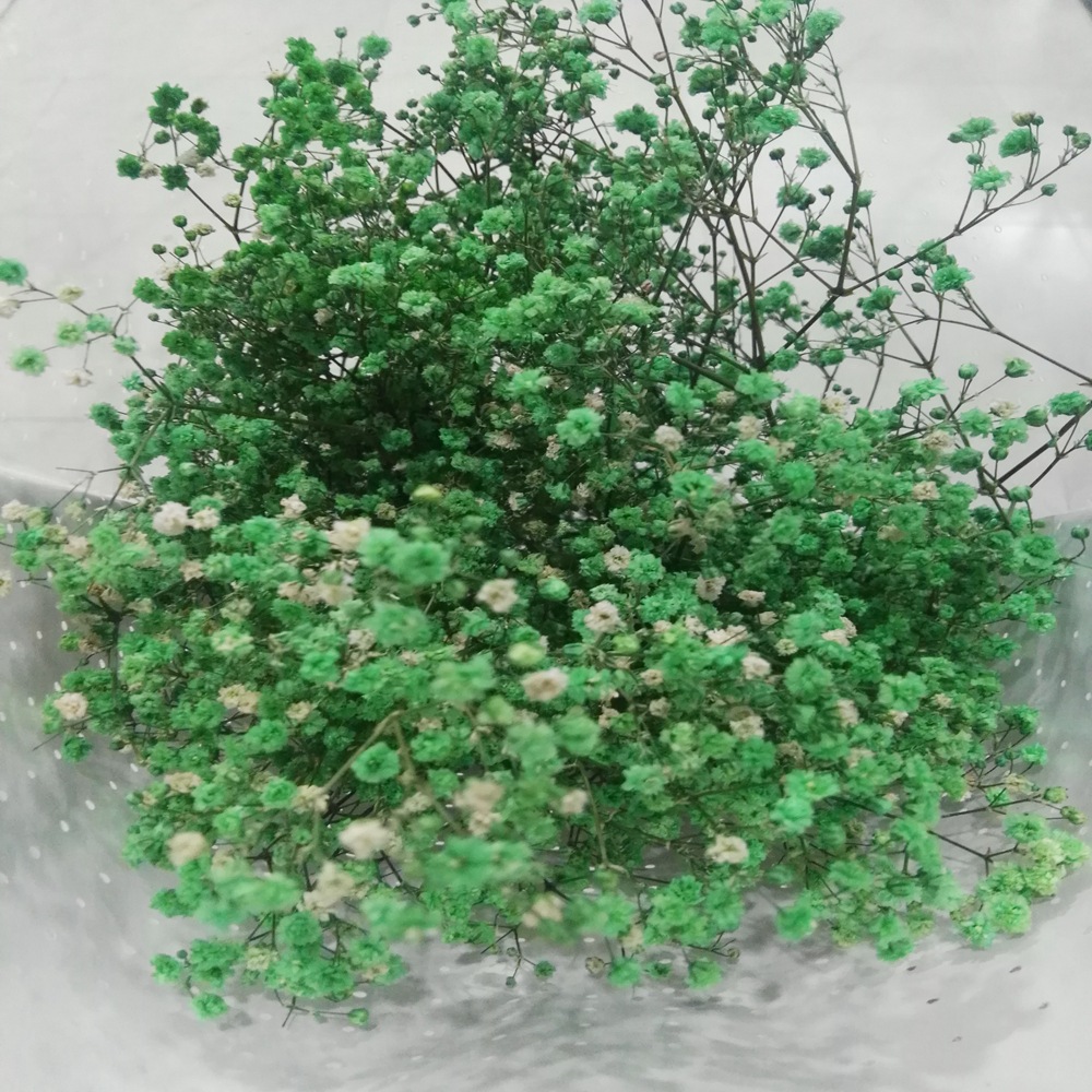 永生花花材厂家直销保鲜满天星中花满天星百万星成品礼盒配材