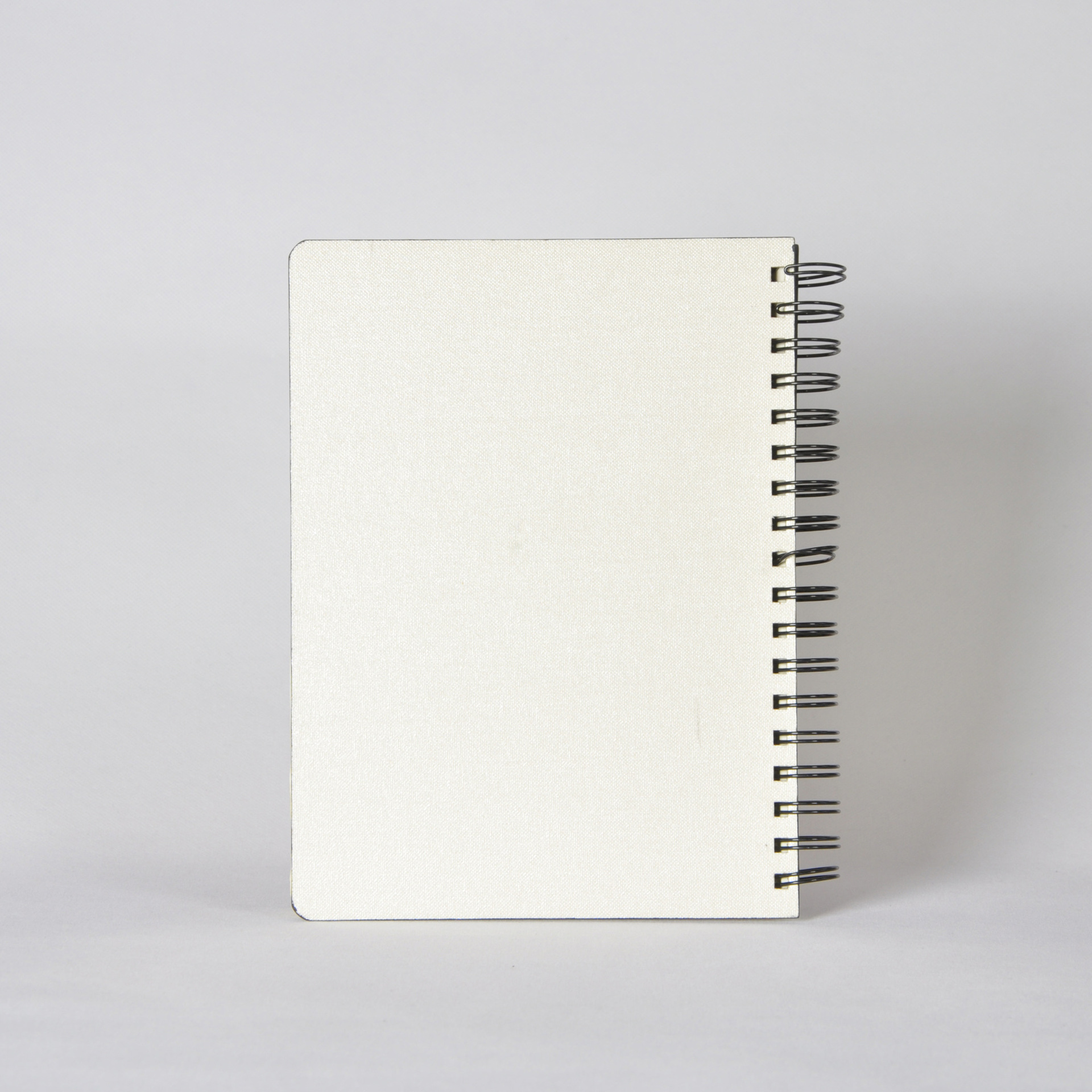 创意笔记本文具 时尚印花小清新线圈本 大学生记事本课堂笔记本a5