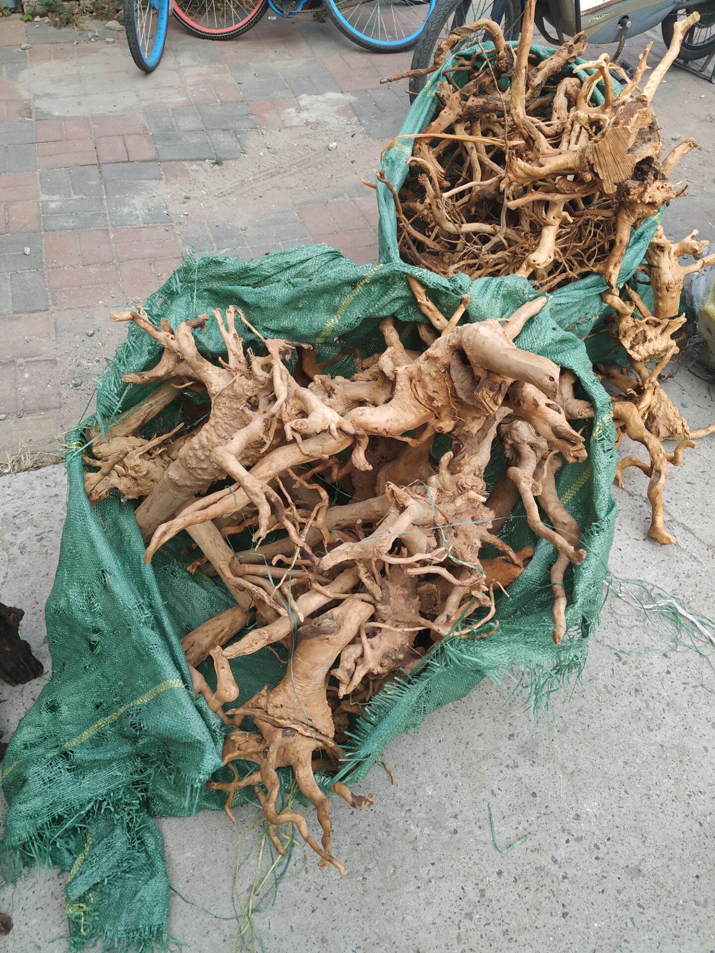 杜鹃根造景精品沉木树根鱼缸雨林缸装饰木宠物摆件水草莫斯树