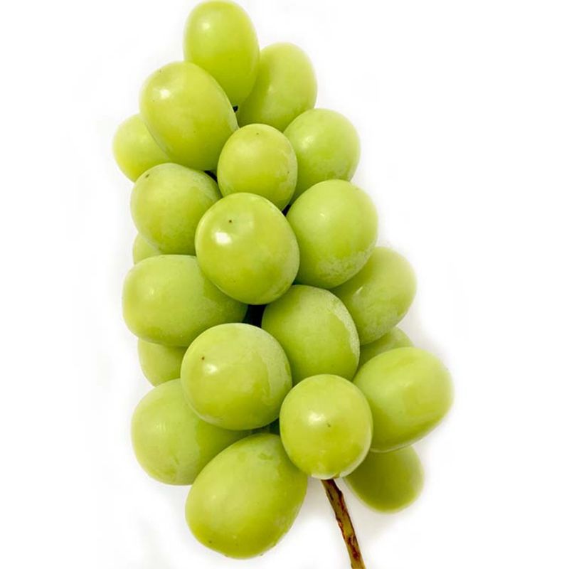 新鲜水果阳光玫瑰相印青提进口水果批发 提子鲜果批发