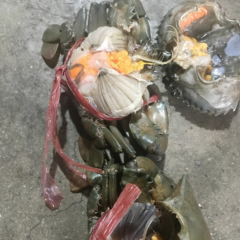 鲜活缅甸孟加拉红膏蟹现货螃蟹胖哥俩肉蟹煲专用2.5-3.5两/只6只