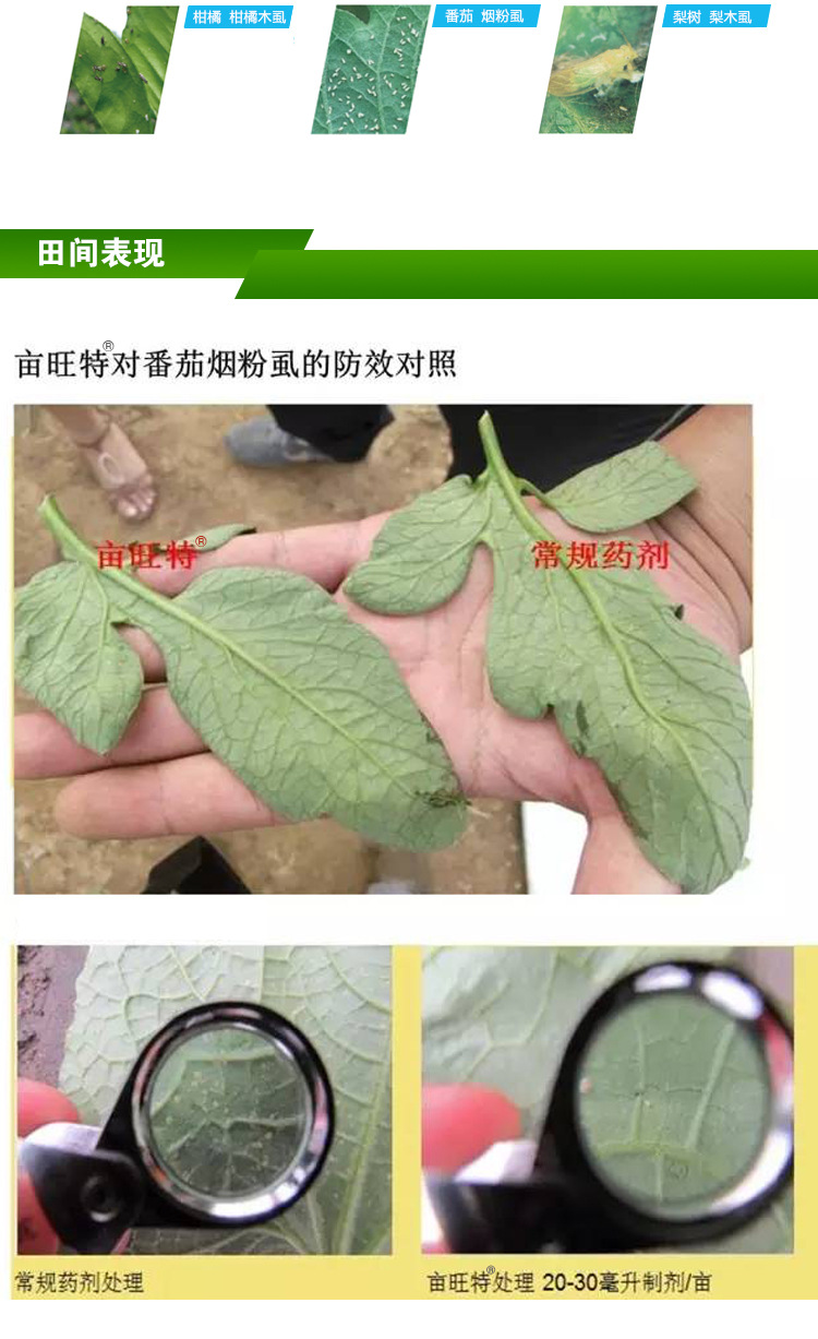 杀虫,杀螨混剂-拜耳亩旺特哈速腾螺虫乙酯多肉介壳虫白粉虱特杀药100