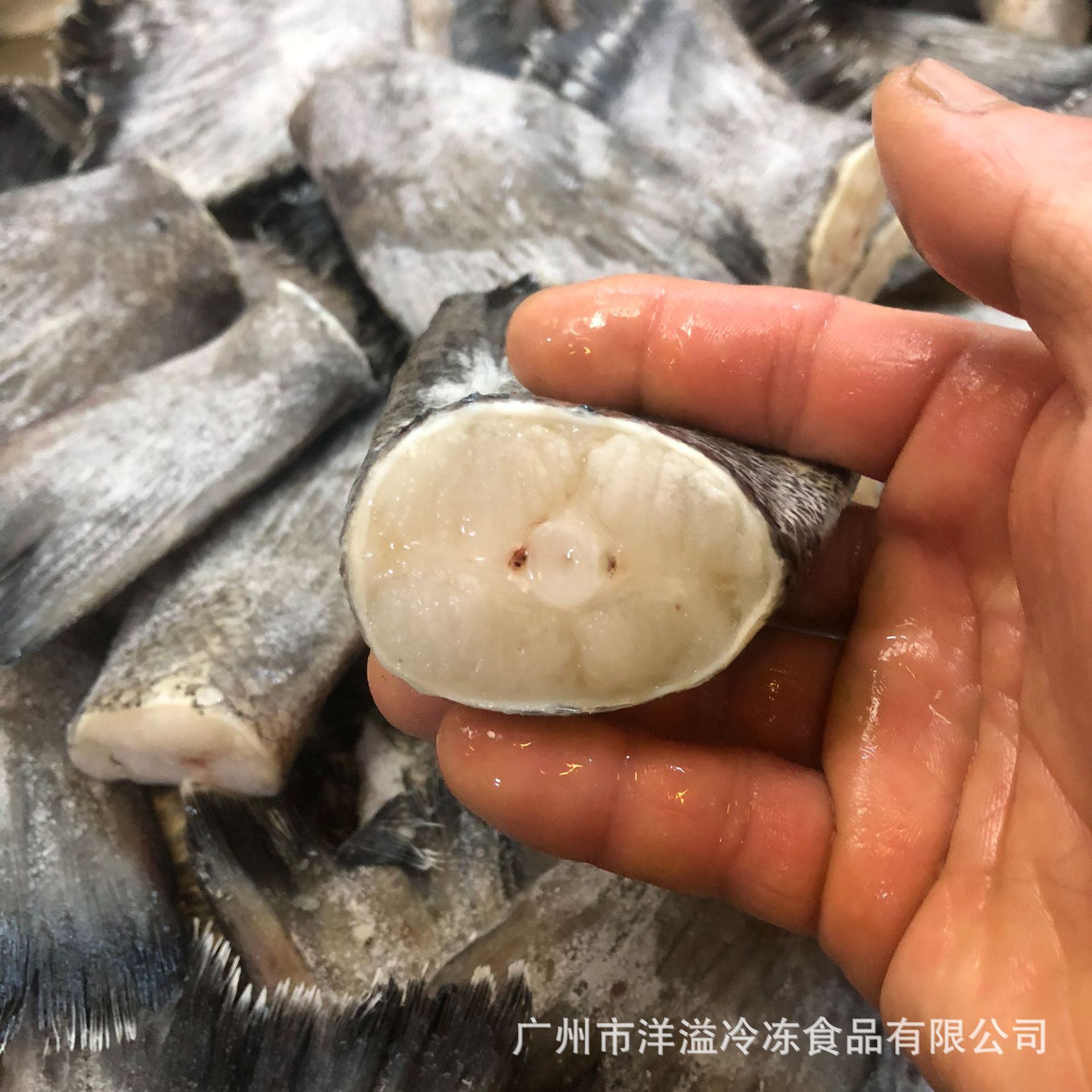 鳕鱼尾 银鳕鱼 冷冻 银雪鱼尾 银雪鱼尾 香煎鱼扒