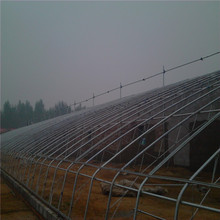 江西赣州 日光温室 蔬菜花草莓反季节种植暖棚 温室大棚 温室建造