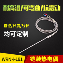 K型WRNK-191/131铠装热电偶 探针可弯曲热电偶 探热针