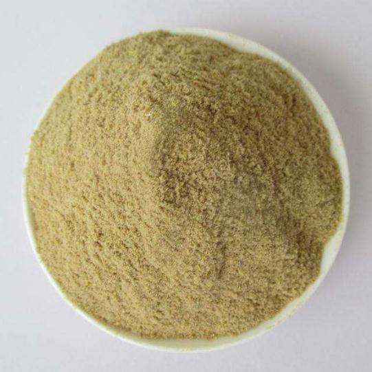 鳖甲粉 鳖甲碎粉 甲鱼粉 中药材批发 鳖甲