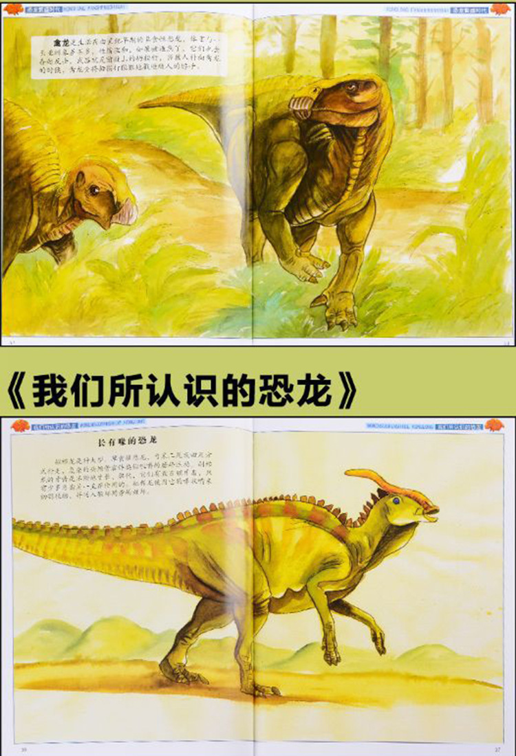 自然世界恐龙百科全书全4册儿童精装绘本书揭秘恐龙王国恐龙图书