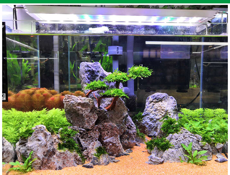 青龙石造景石沉木森林骨架鱼缸水族箱装饰针木莫斯树假山石头