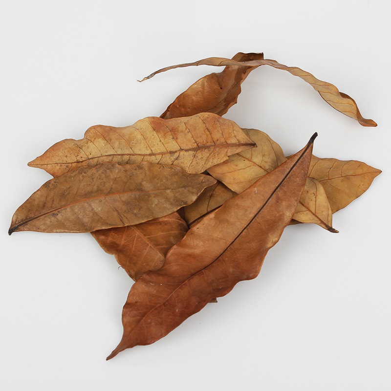 002品牌其他是否专利货源否货号龙眼叶产品类别其他水族