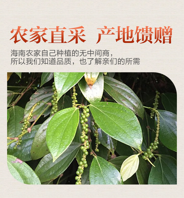 2020产新海南白胡椒500g越南胡椒颗粒可打胡椒粉西餐牛排调料散装