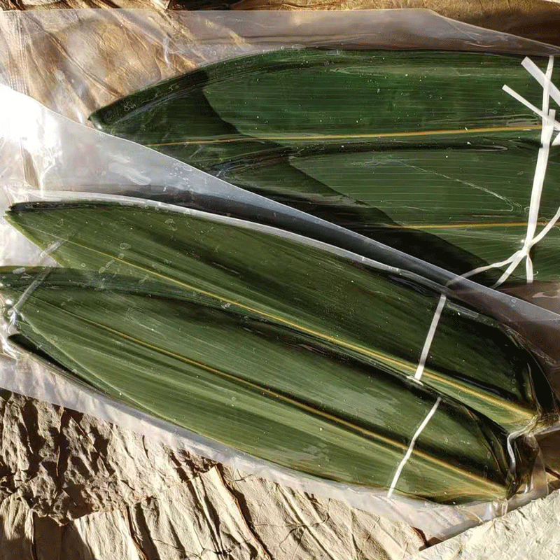 真空新鲜粽叶摆盘装饰刺身装饰日式料理粽叶子笹叶寿司竹叶100片