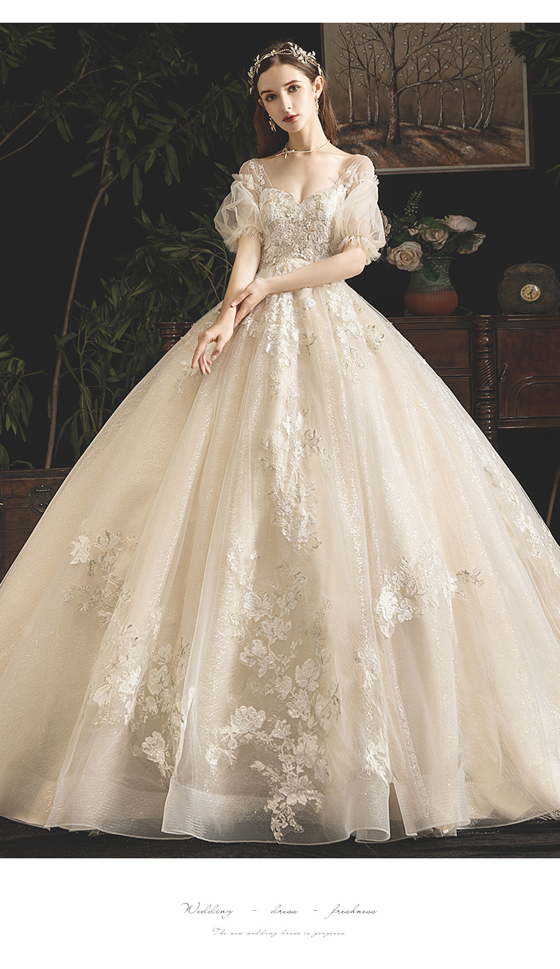 孕妇婚纱2020新款新娘拖尾豪华奢侈齐地显瘦香槟色复古长袖主婚纱