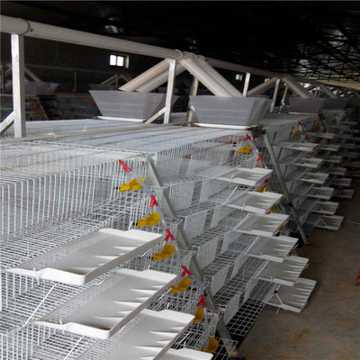 叠式鹌鹑 养殖鹌鹑笼设备 养殖笼 加粗加密全自动养殖笼子批发