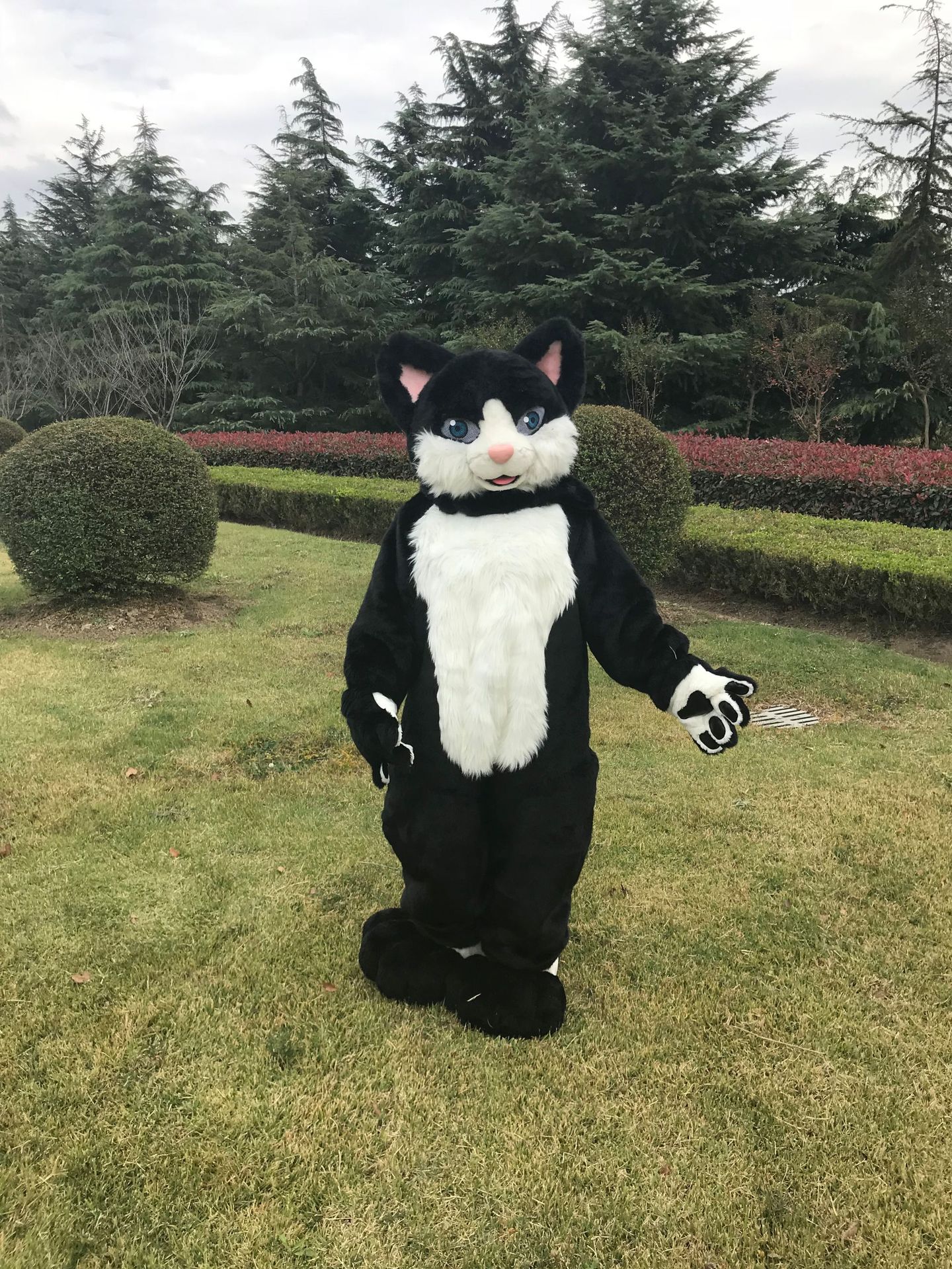 fursuit兽装 动物服装动漫角色扮演动物衣服cosplay卡通人偶服装