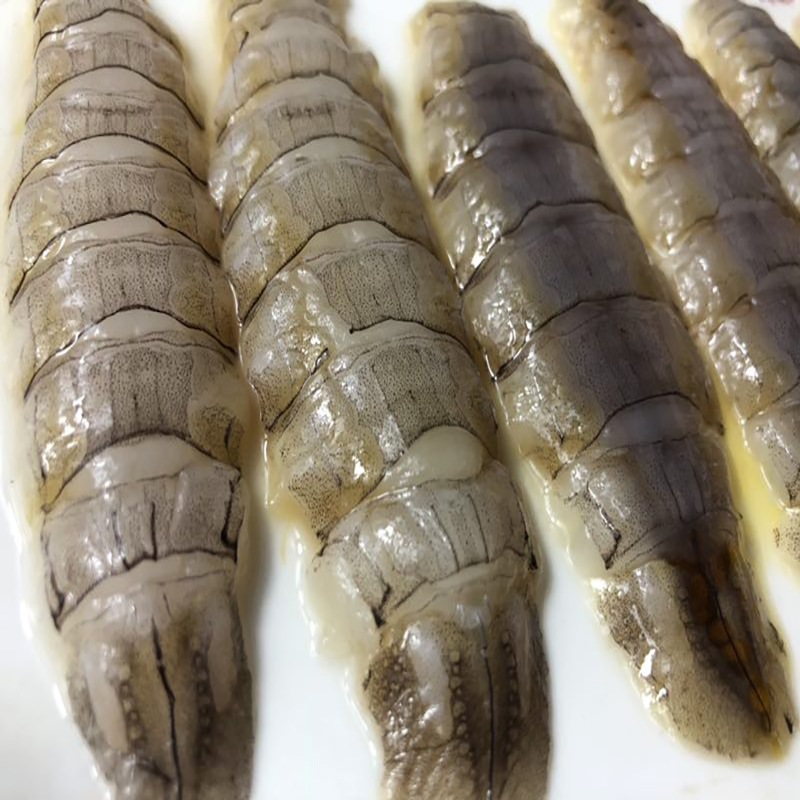 冷冻皮皮虾肉 虾爬肉 虾蛄肉 濑尿虾 爬爬虾肉工厂直供餐饮批发