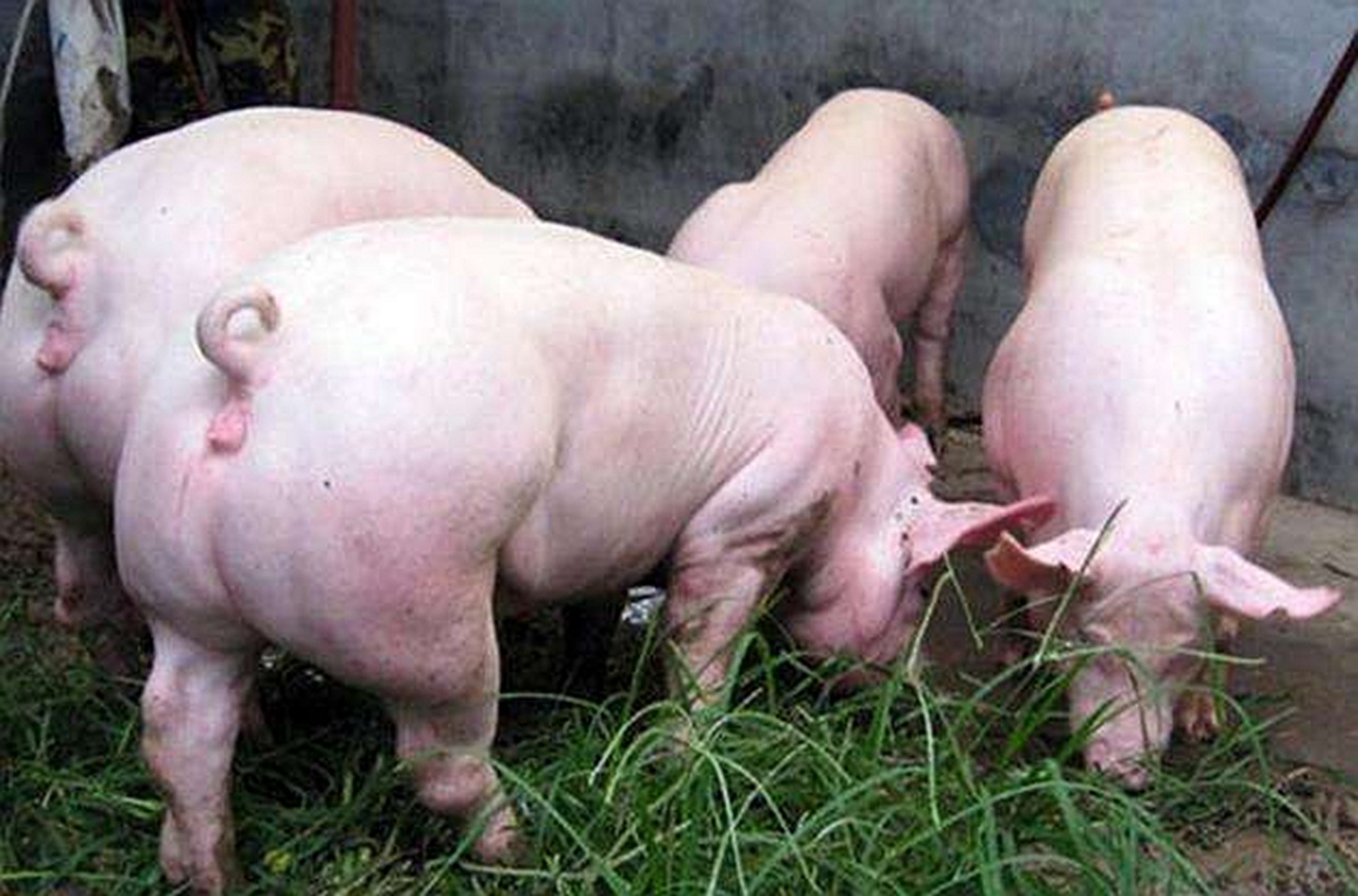 【生活点滴】 - 如何挣大钱