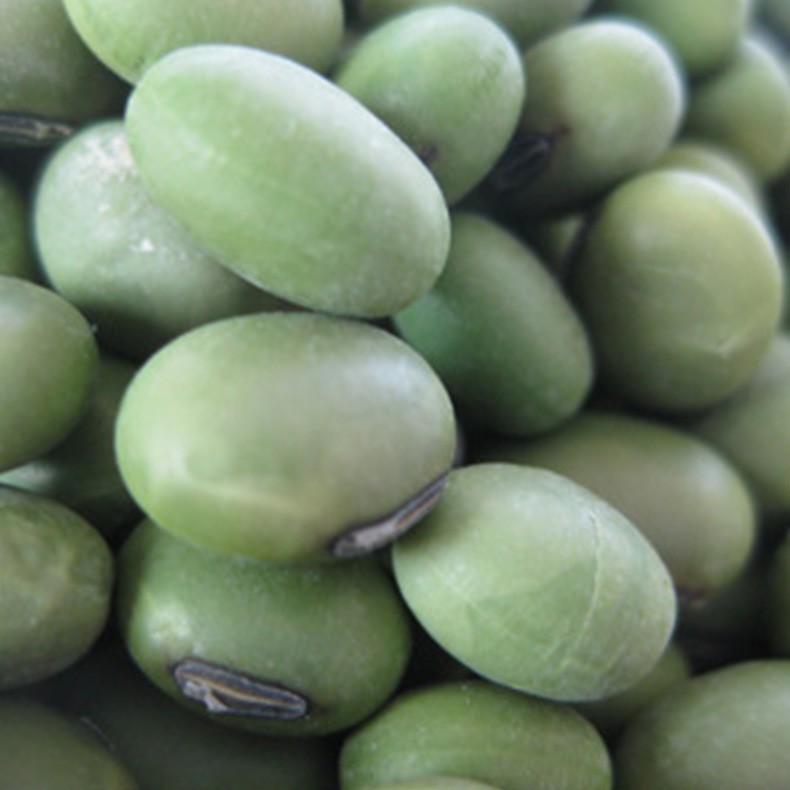 供应新双青豆 江苏大丰新江粮贸 大丰新品