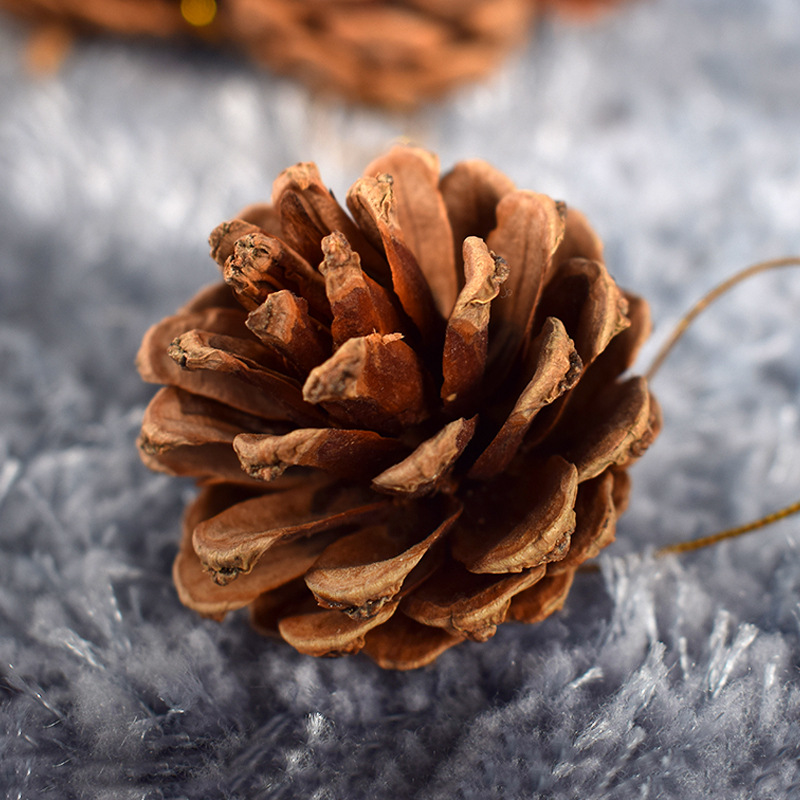 天然松果装饰圣诞装饰品圣诞树挂件干花拍摄道具diy材料松球