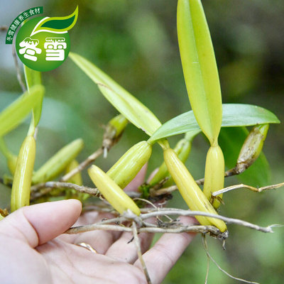 【石橄榄】产地大货批发优质石仙桃一件代发独叶岩珠食材淘宝货源