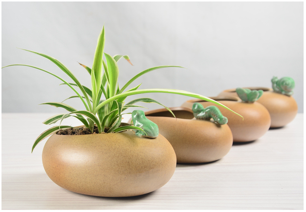 创意素烧粗陶椭圆形多肉花盆粗陶动物透气微景观绿植植物盆栽