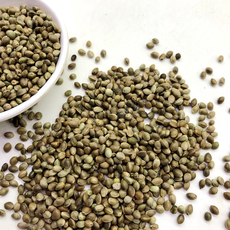 巴马火麻仁 火麻子 麻子仁 小籽火麻子 榨油用火麻籽 鸟粮鸽粮