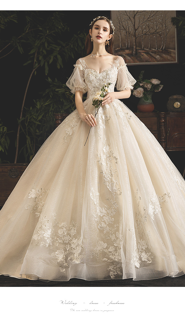 孕妇婚纱2020新款新娘拖尾豪华奢侈齐地显瘦香槟色复古长袖主婚纱