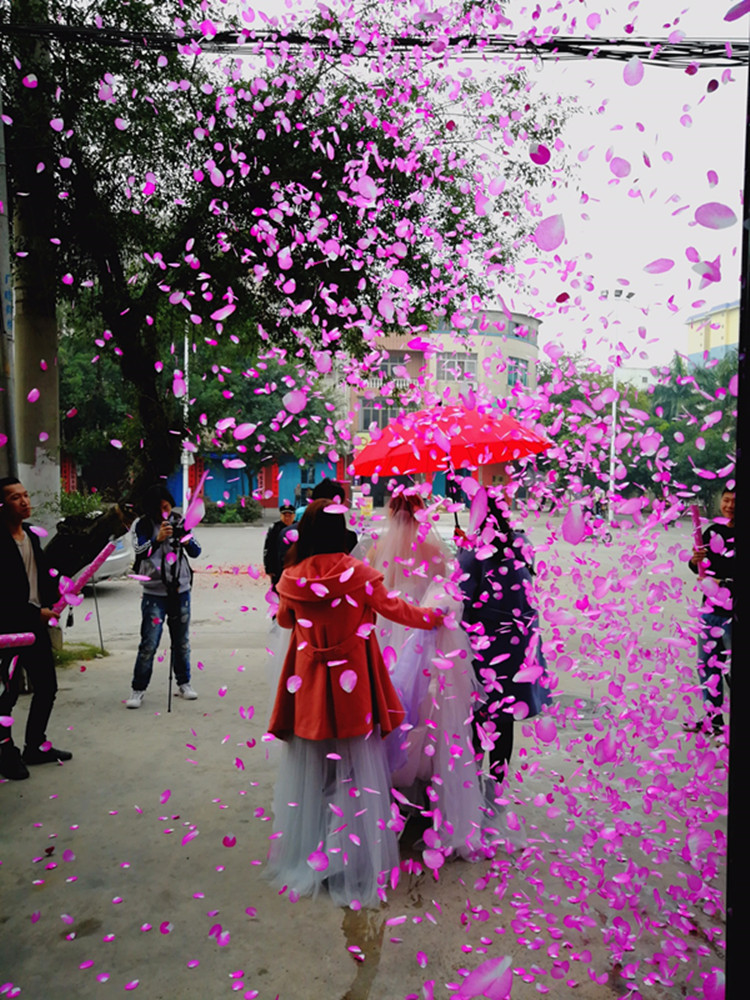 新款婚庆用品花瓣雨礼炮彩带礼花筒礼宾花喷花 婚礼拉炮手持礼花