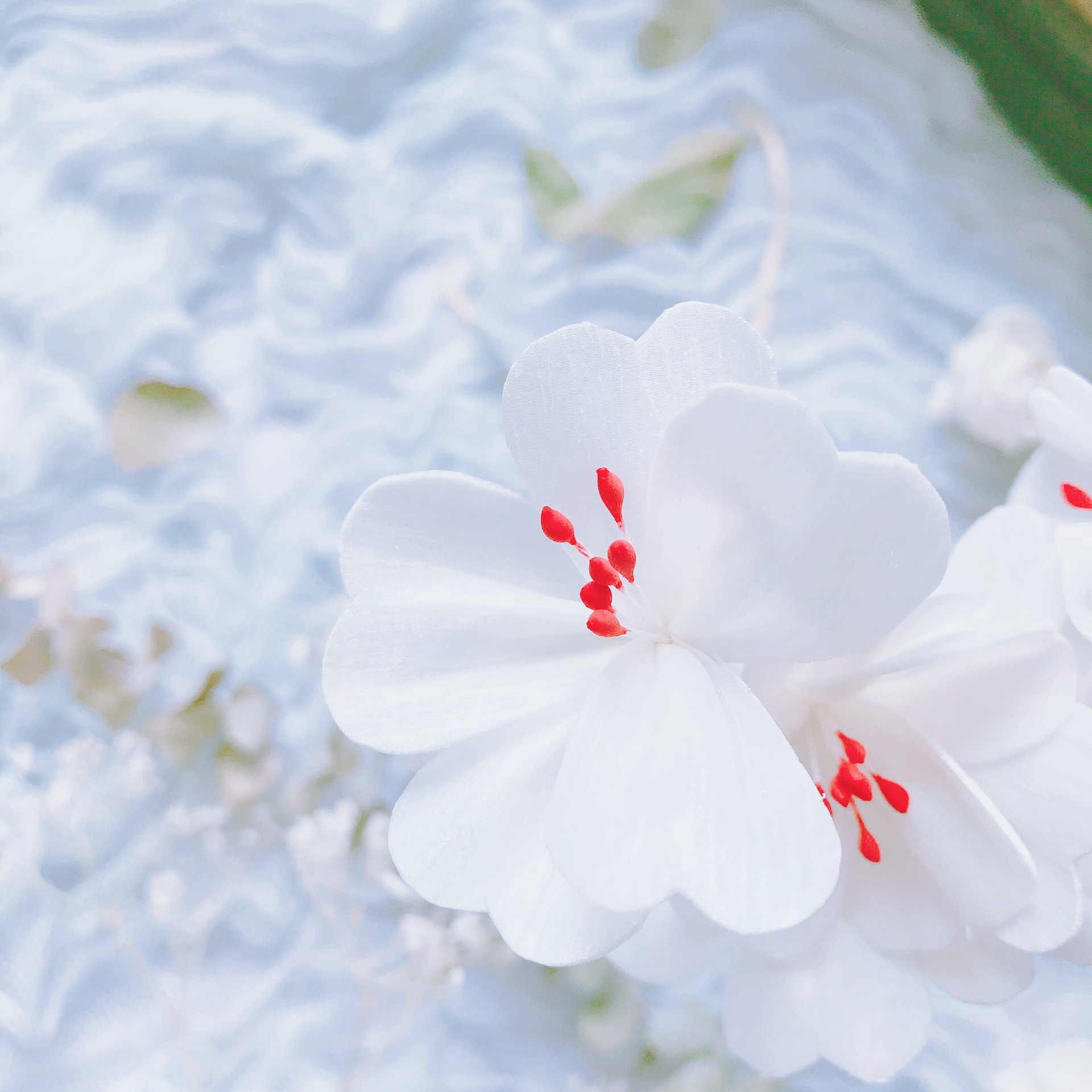 《现货》娜舍泰国通草香薰花(夏樱)植物无火香薰仿真花