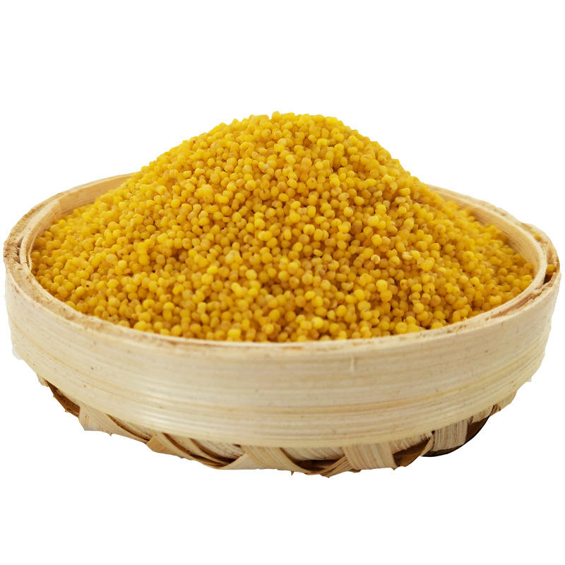 小米最新报价走势分析-2020米脂粗粮黄小米小黄米-阿里巴巴