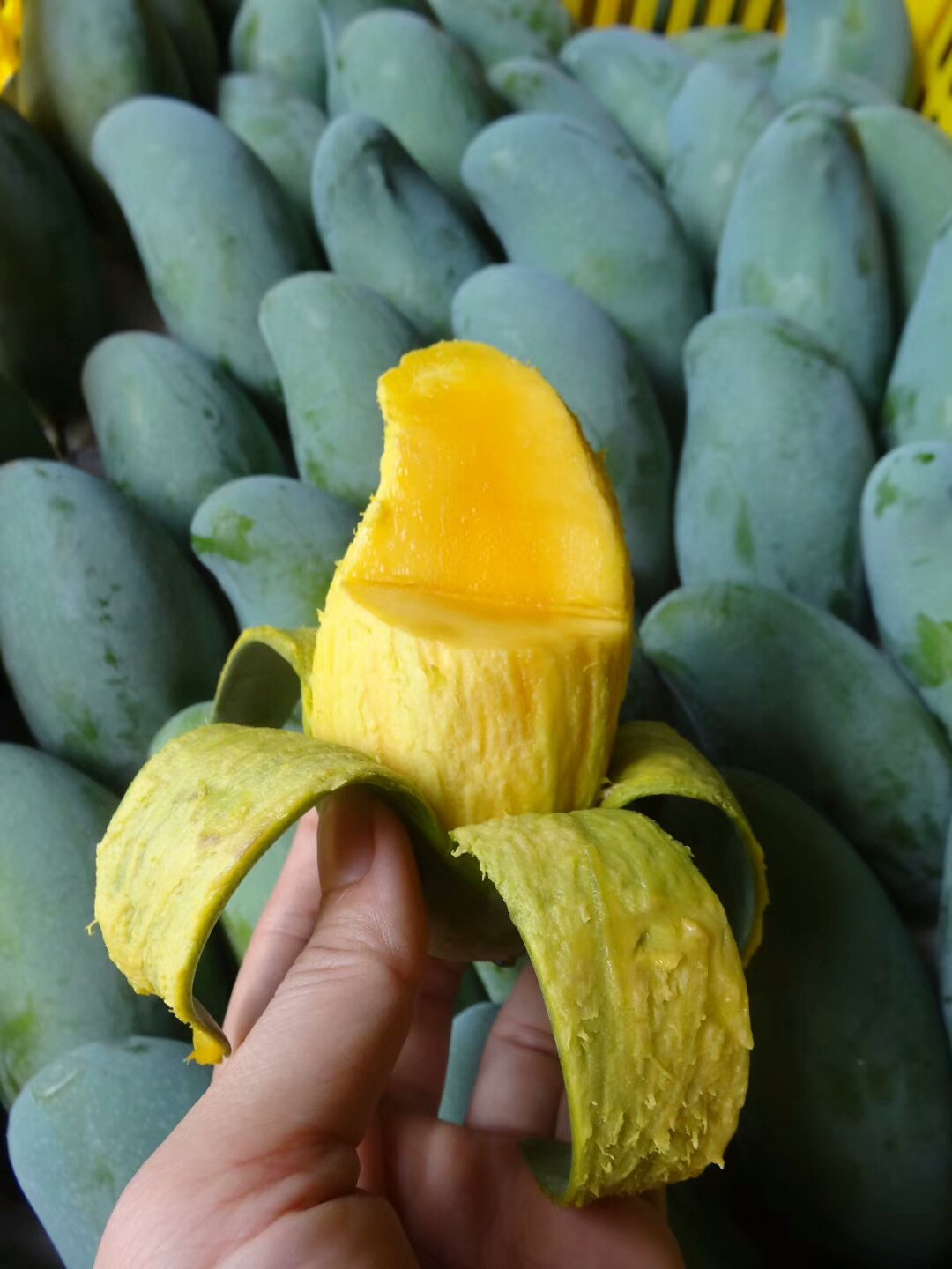 产地直发广西水果桂七香芒5斤装香甜芒果新鲜水果批发