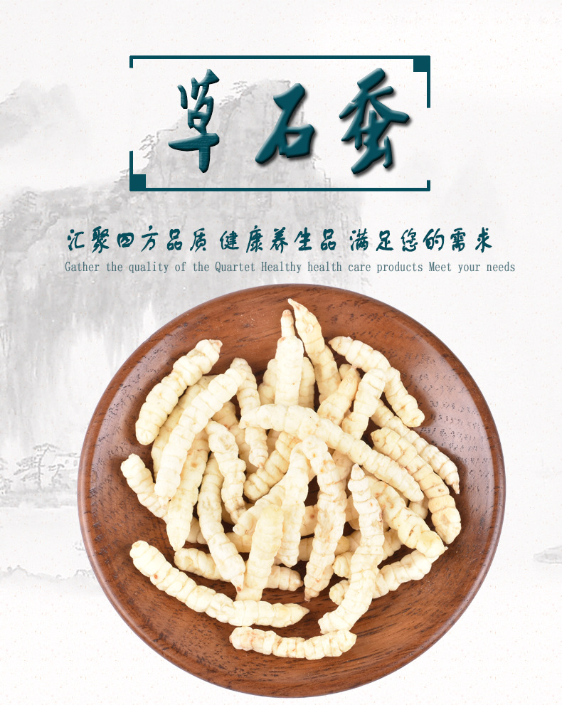 批发现货 草石蚕 地蚕 土冬虫夏草 无硫磺新货 诚信经营 一件代发