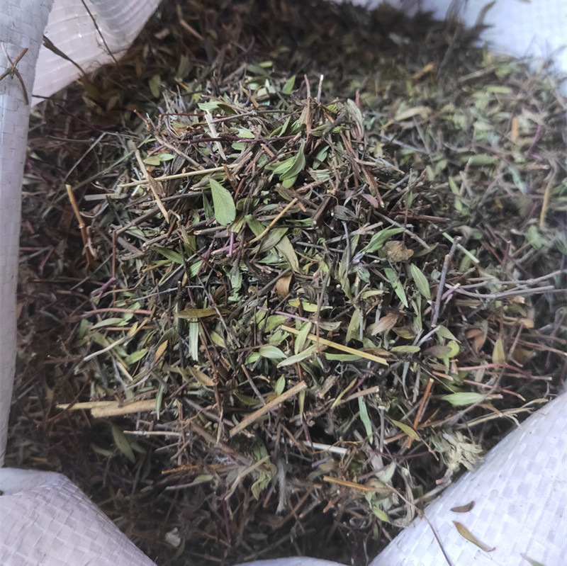 批发香料百里香 地椒 地花椒 山椒 山胡椒
