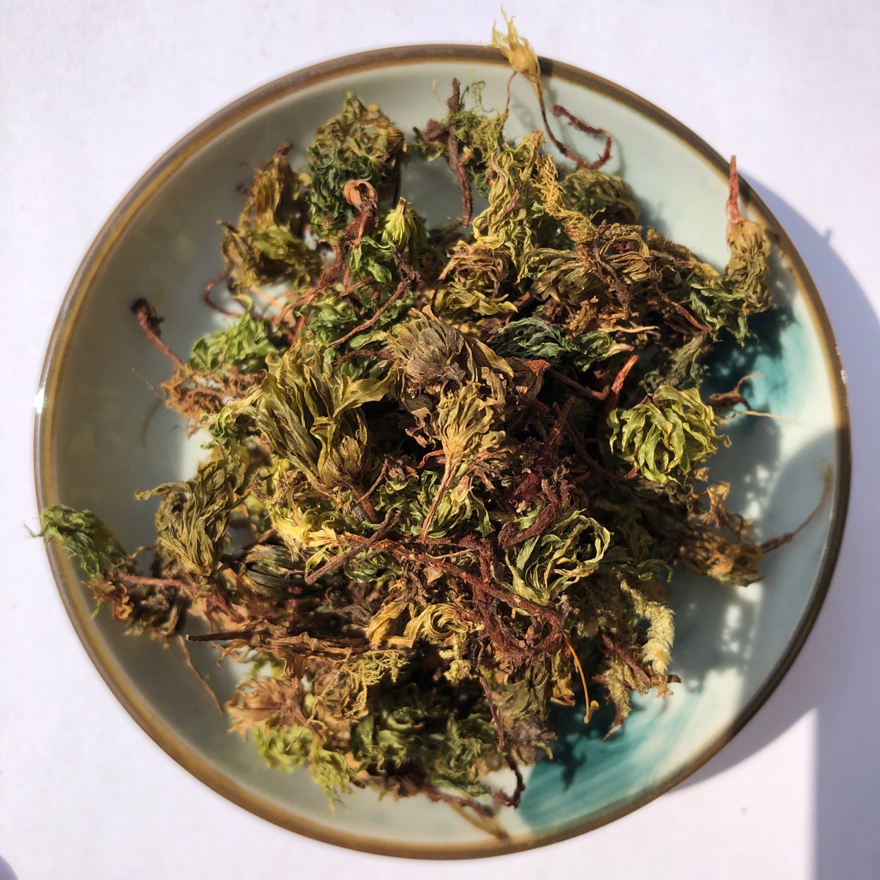 徽信远中药材品质保证回心草