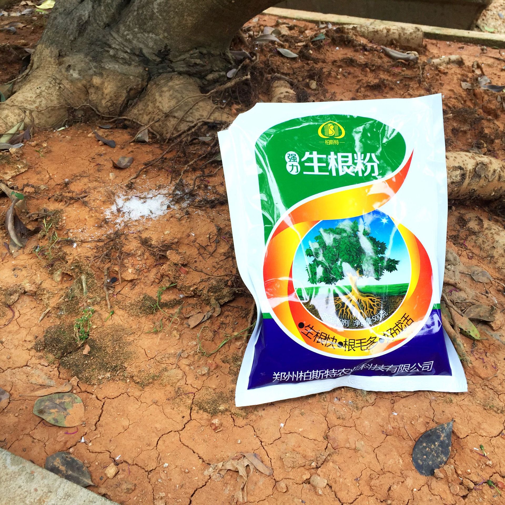 植物生根粉大树移栽生根剂果树扦插育苗花卉多肉肥料生根液