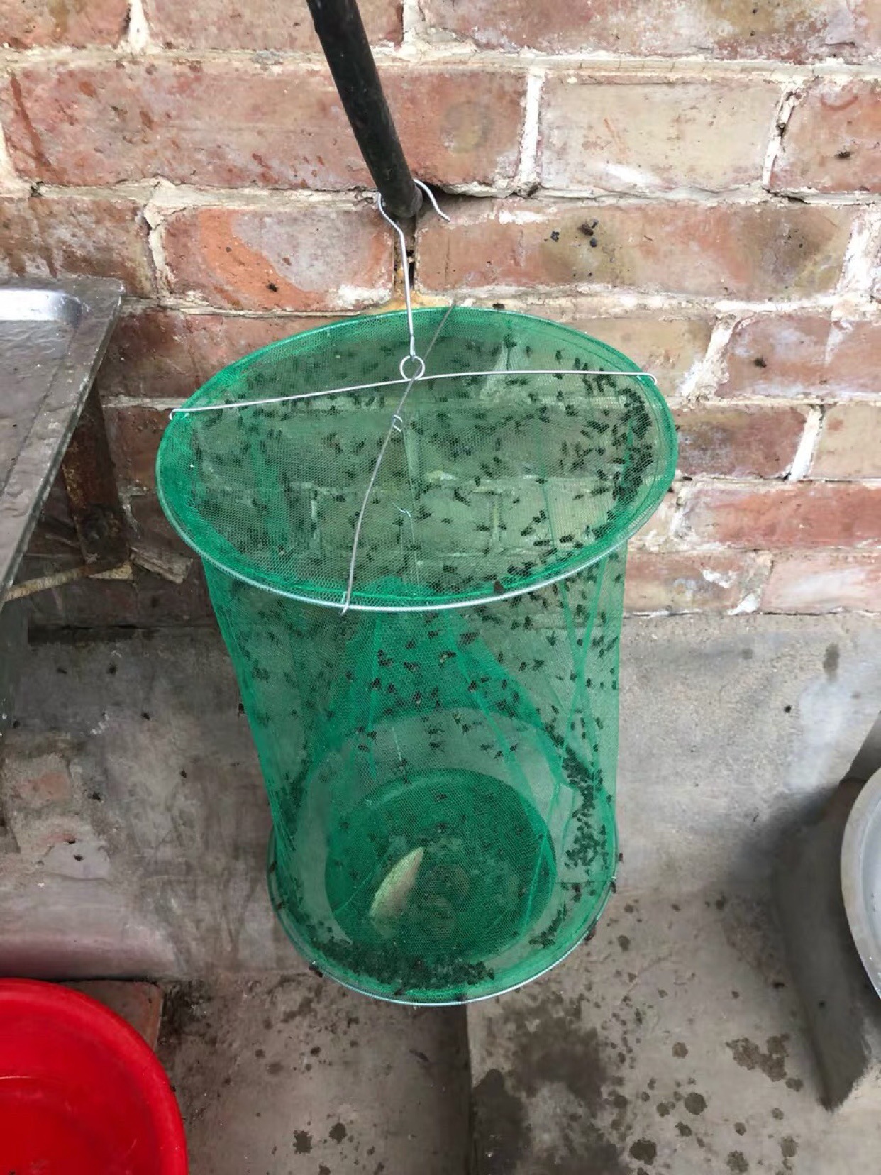 10个十个装悬挂式苍蝇诱捕笼 捕捉器 捕蝇器 捕蝇网 诱捕苍蝇笼