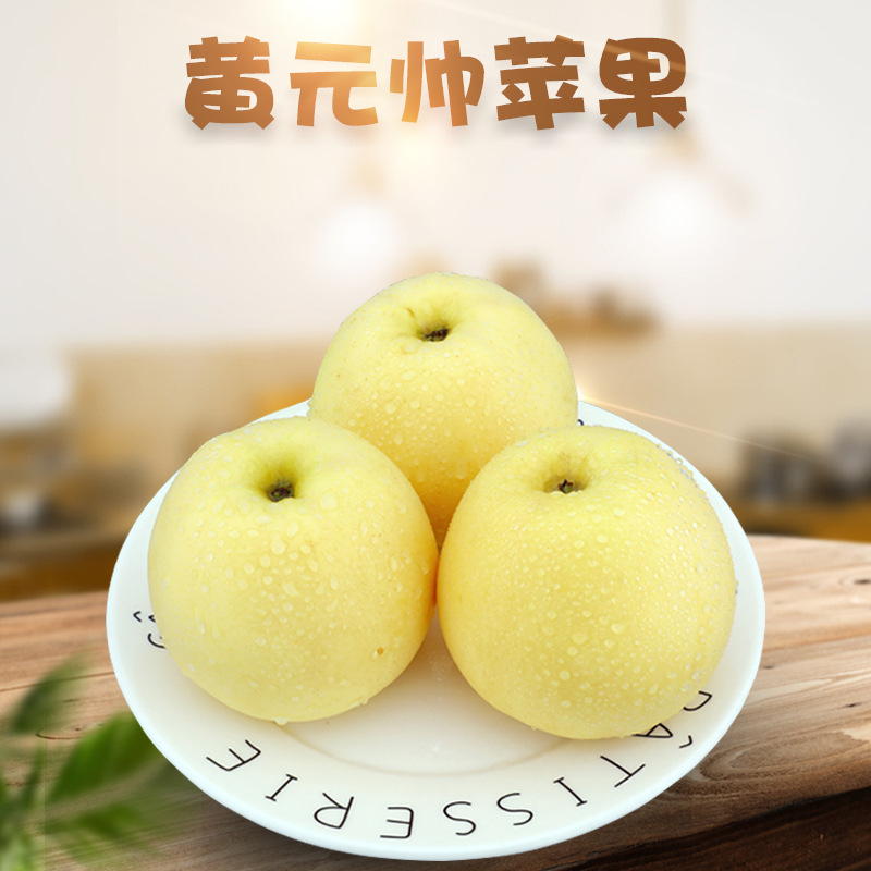 烟台黄金帅 5/9斤新鲜当季甜粉面刮泥黄元帅大果非红富士梨