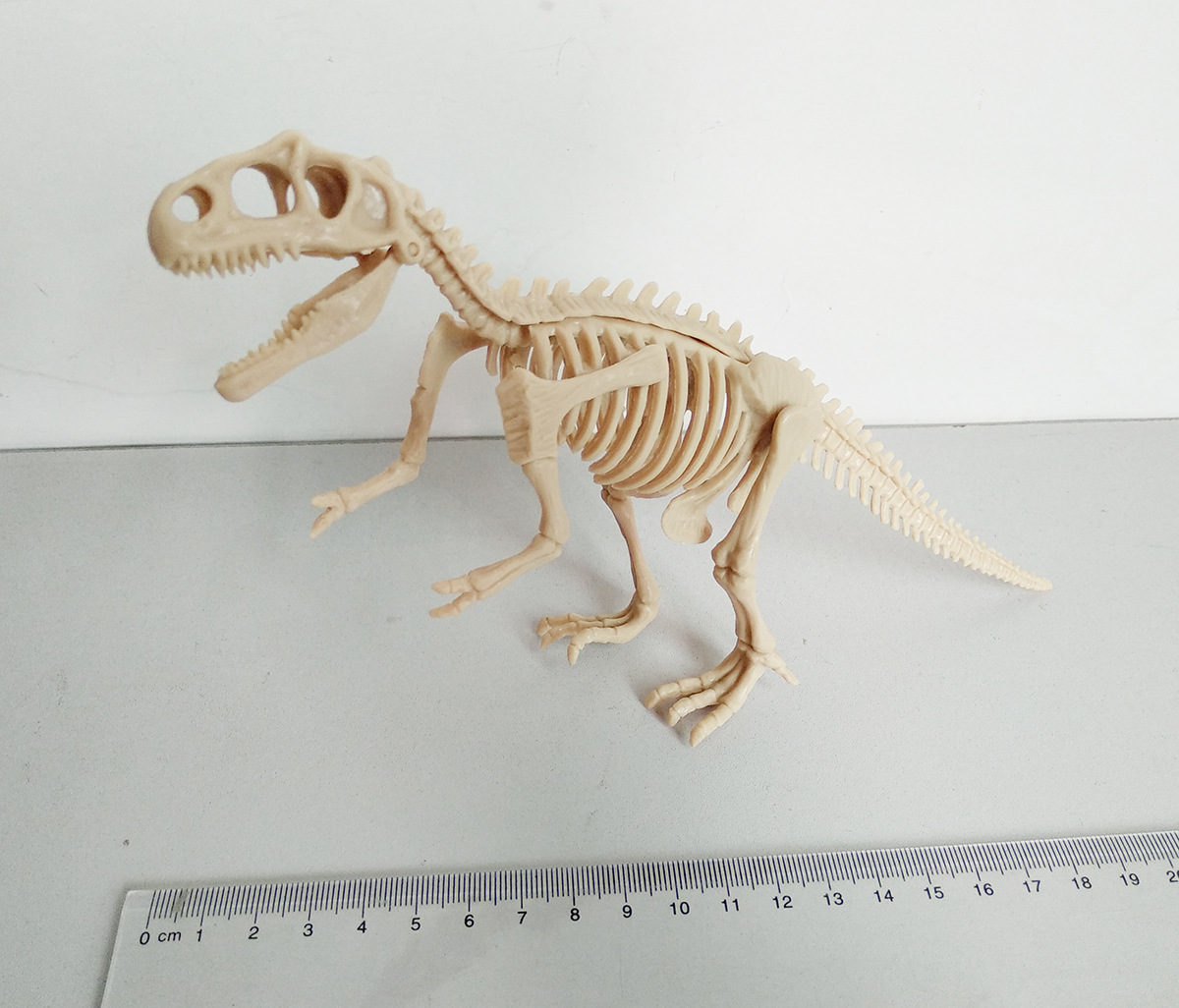 21cm恐龙骨架 拼装考古五款恐龙骨架 鳄鱼化石 剑龙骨架 雷龙化石
