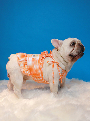 狗狗裙子 春夏可爱甜心橘色格子小吊带裙 法斗巴哥中小型宠物衣服