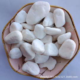 厂家直销天然洗米石白玉石白色鹅卵石白石子花圃铺面白豆石瓜米石