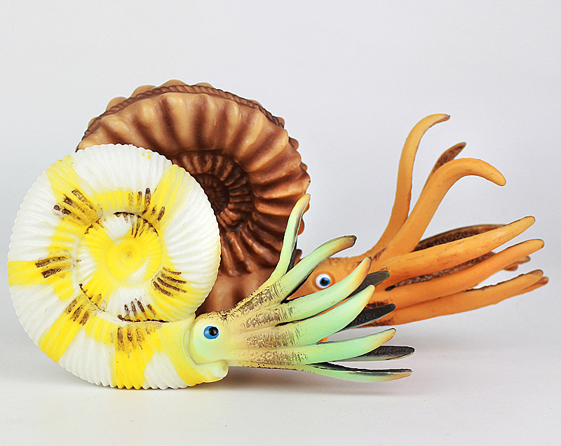 新款仿真鹦鹉螺模型海洋软体生物动物模型塑胶儿童玩具男女孩摆件