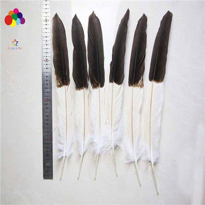 天然漂亮40-50cm半脱稀少羽毛 工艺品标本羽毛 孔明扇原料