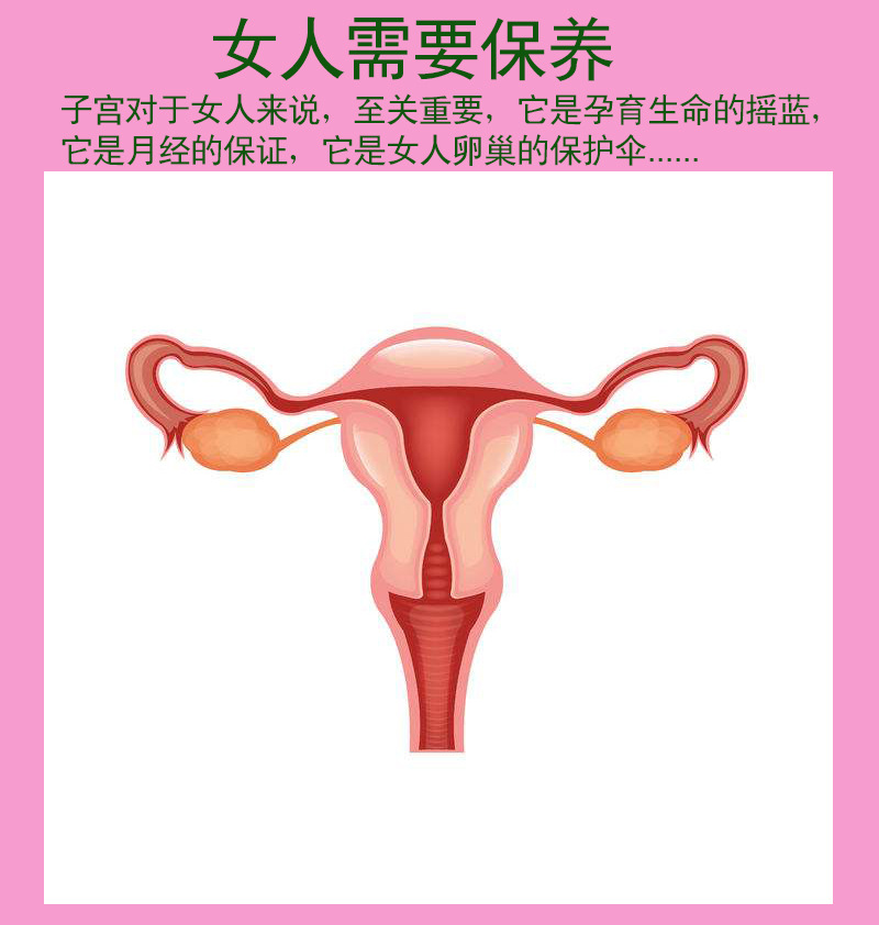 厂家批发暖宝宝艾灸发贴定制加工贴牌oem艾草宫寒暖宫贴