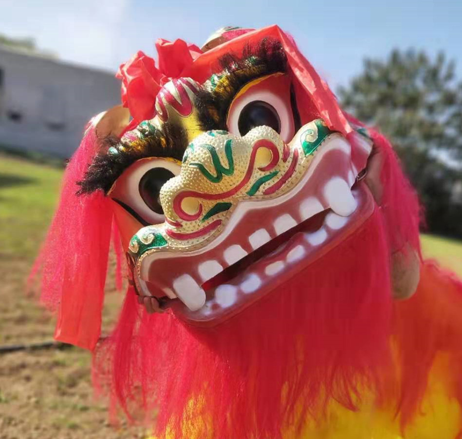 社火舞狮整套双人大北狮狮子头成人舞狮子绣球服装全套表演出道具