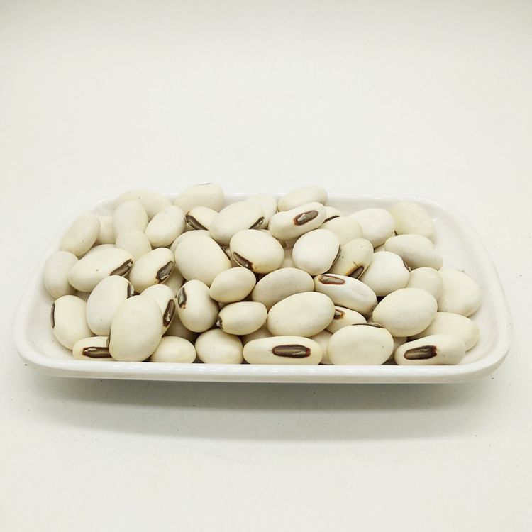 中药材批发 白刀豆 白凤豆 洋刀豆 立刀豆 刀豆