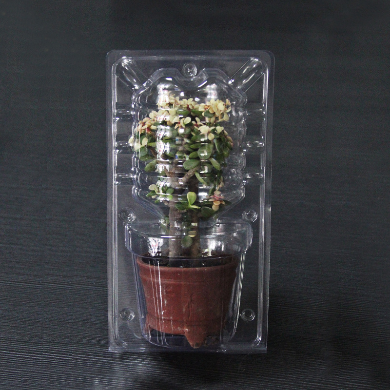 12cm直径花盆外包装盒 花苗打包盒花盒 pvc大号吸塑盒运输泡壳