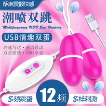 成人情趣性用品USB双跳蛋 12频女用自慰按摩器具成人情趣用品批发