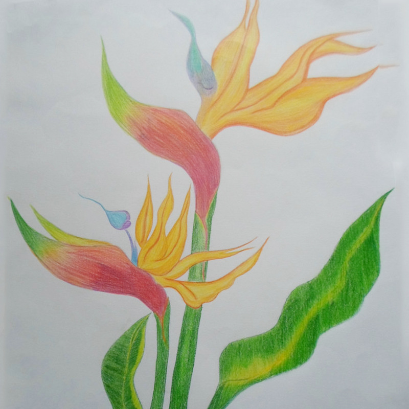 4k 8k美术绘画纸素描纸 速写纸水粉纸水彩纸马克彩铅画纸-阿里巴巴