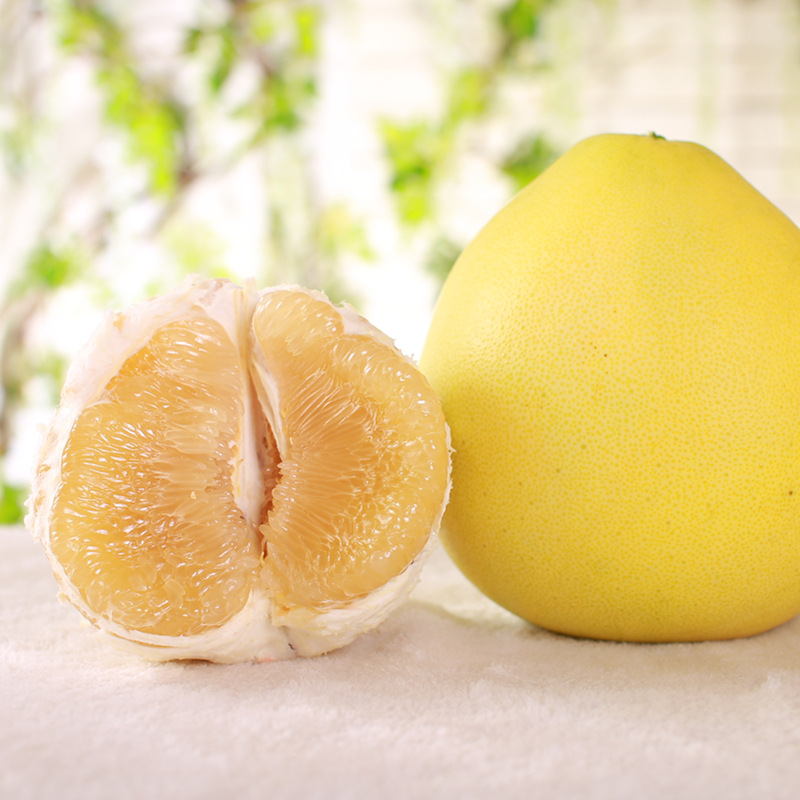 福建琯溪蜜柚 黄心柚 新鲜水果皮薄肉厚当季黄柚白柚微商电商代发