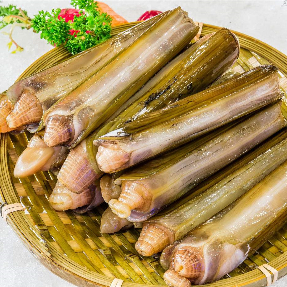 产地直销野生生冻蛏子王鲜活竹节蛏 海蛏子 冰冻蛏王海鲜批发